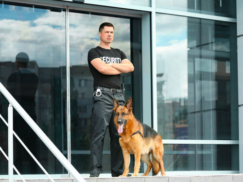 K9 Security | Security Guard Dogs | XRM Security