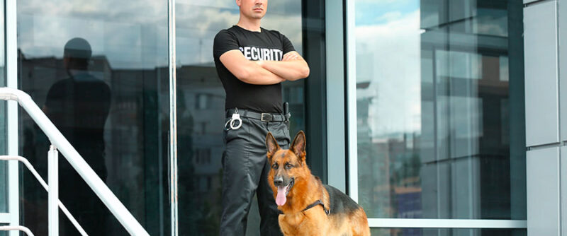 K9 Security | Security Guard Dogs | XRM Security